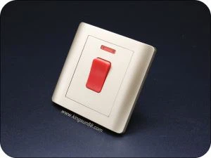 20 Amp stikkontakt